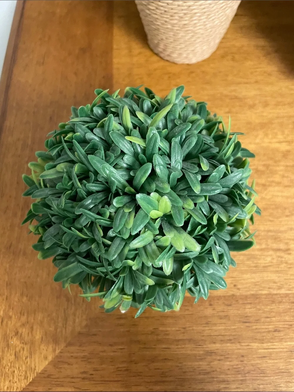 Artificial Small Potted Plant Greenery in Ceramic Round Pot